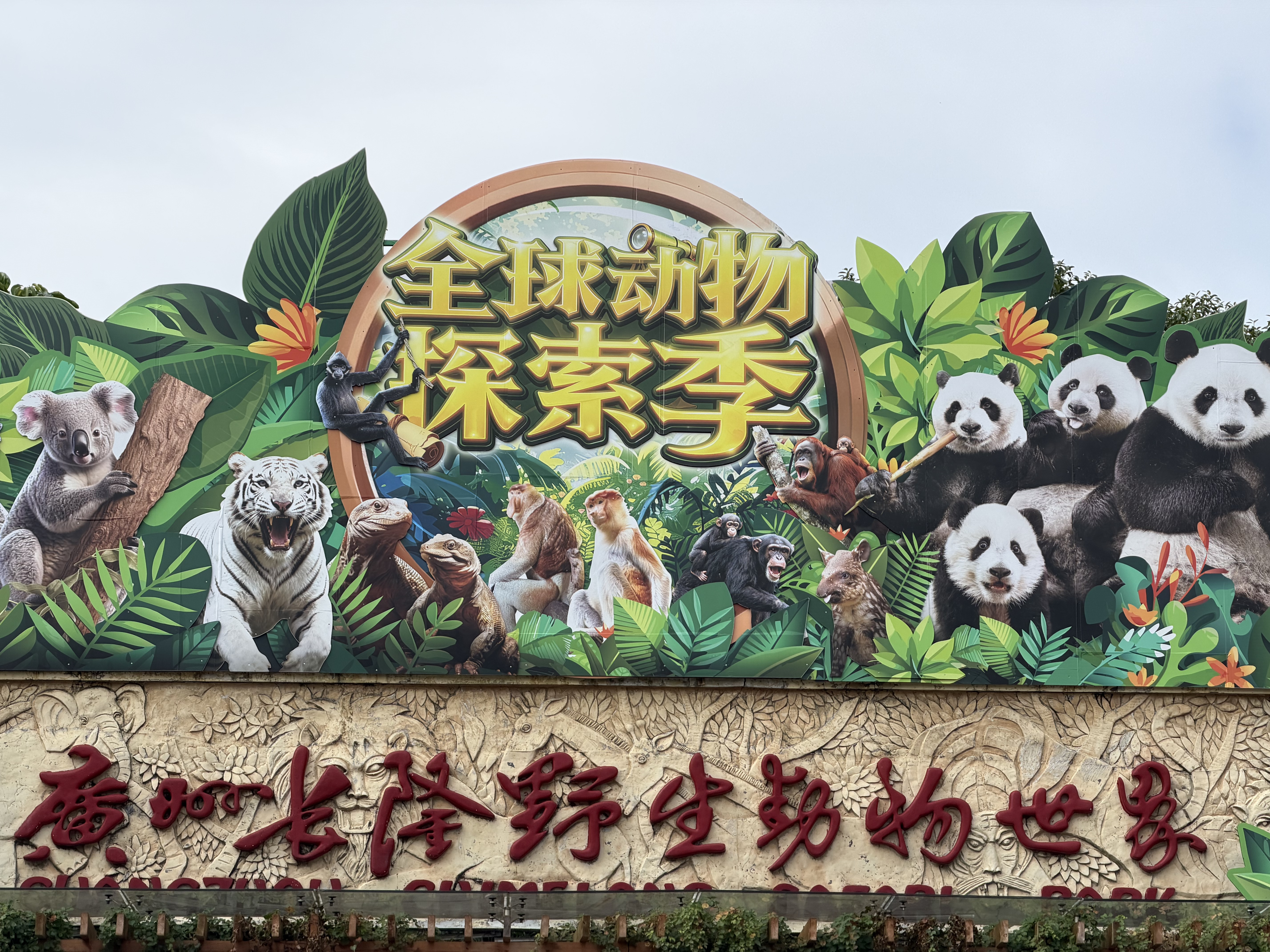  A Changlong Adventure of animals